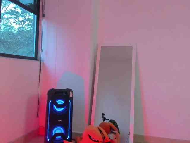 littleDanni webcam