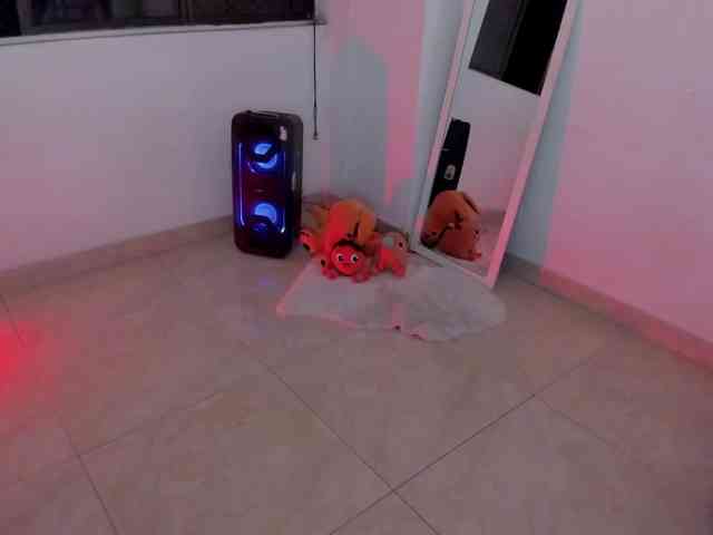 littleDanni webcam