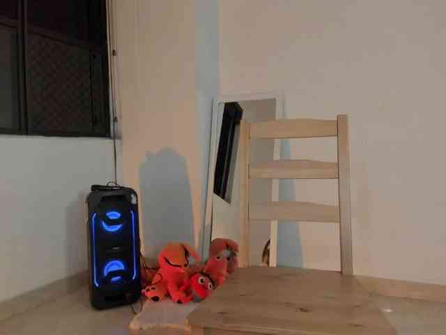littleDanni webcam