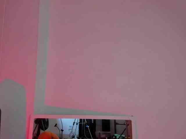 littleDanni webcam