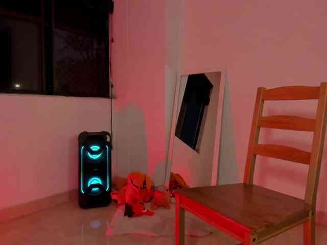 littleDanni webcam