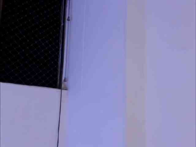 littleDanni littleDanni