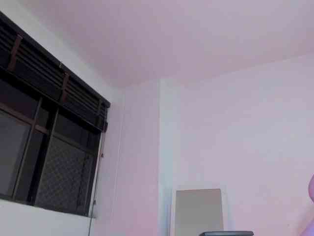 littleDanni webcam