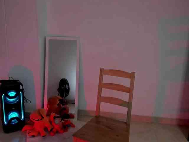littleDanni webcam