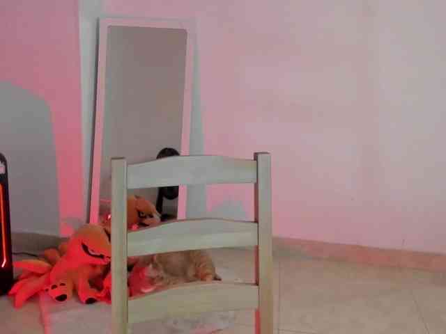littleDanni webcam