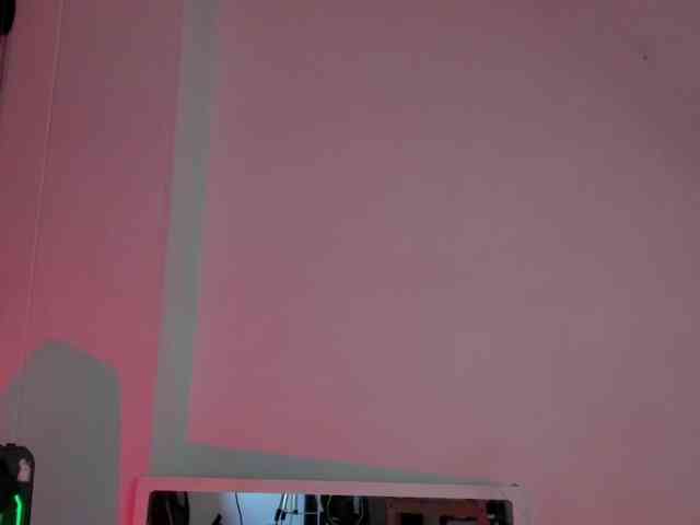 littleDanni webcam