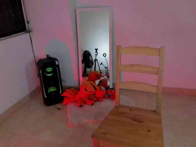 littleDanni webcam