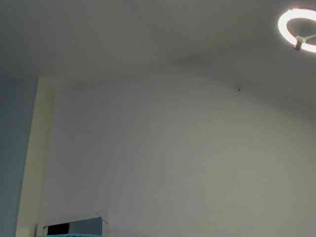 littleDanni webcam