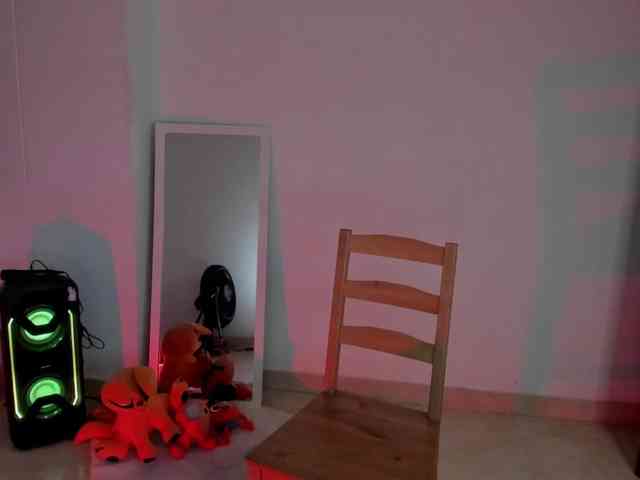 littleDanni webcam