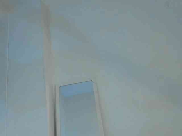 littleDanni webcam