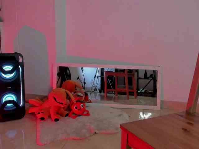 littleDanni webcam