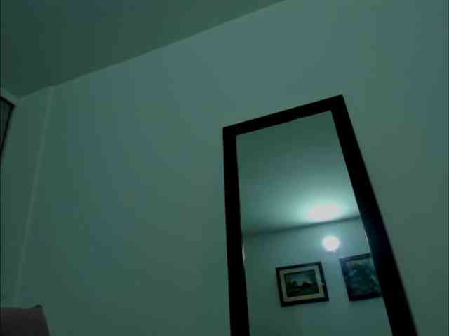 littleDanni webcam