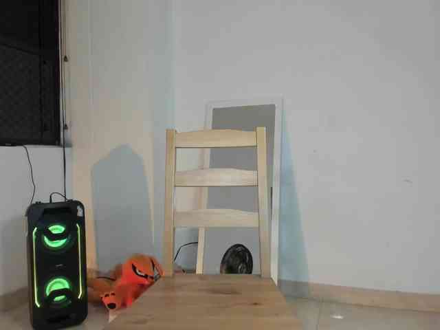 littleDanni webcam