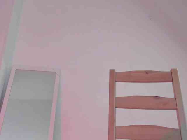 littleDanni webcam