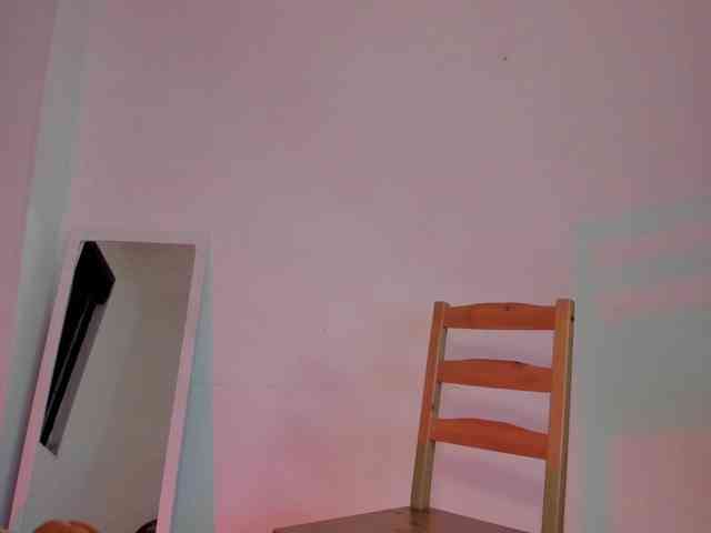 littleDanni webcam