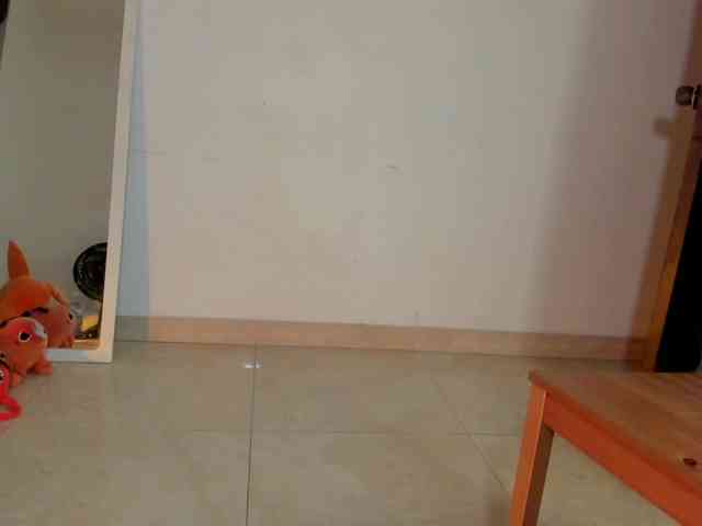 littleDanni webcam
