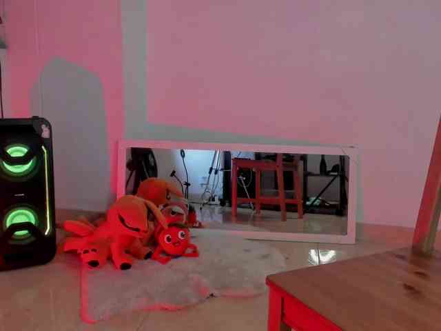littleDanni webcam