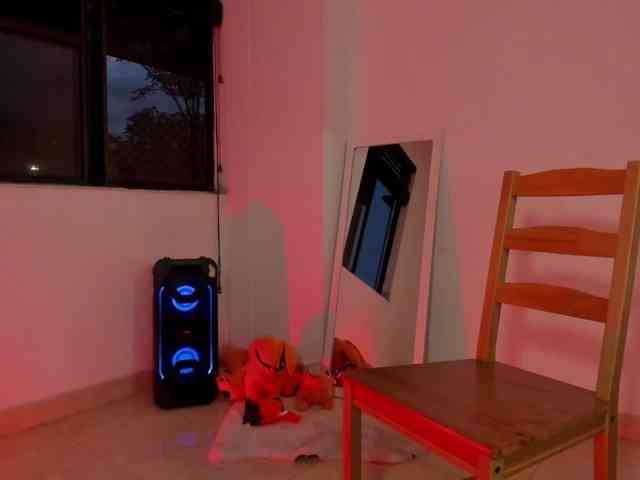 littleDanni webcam