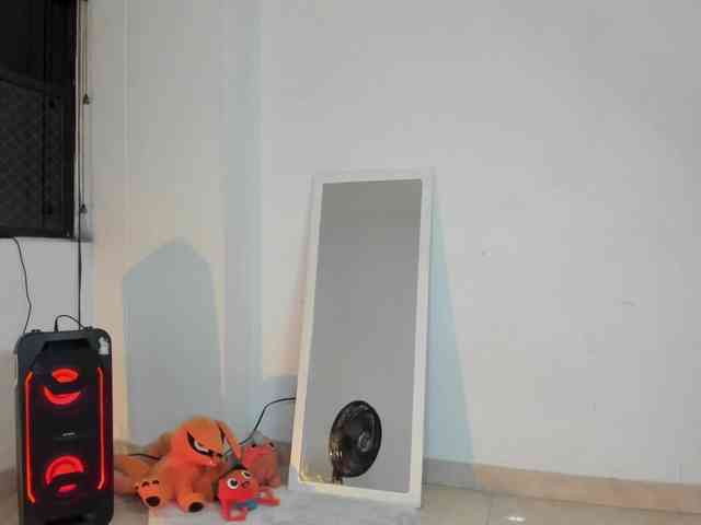 littleDanni webcam