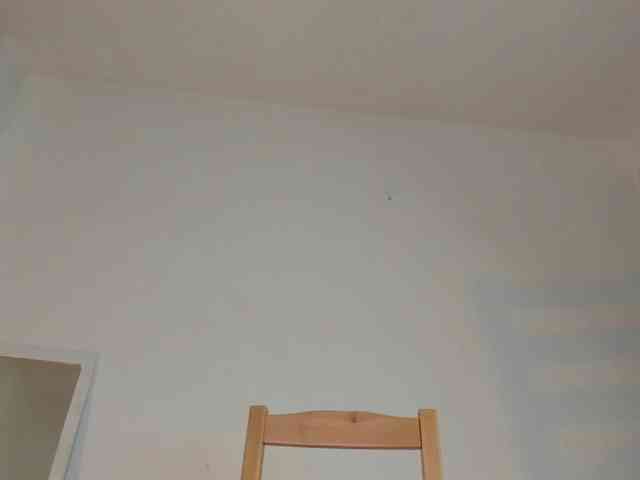 littleDanni webcam