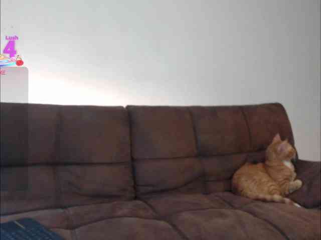 littleDanni littleDanni