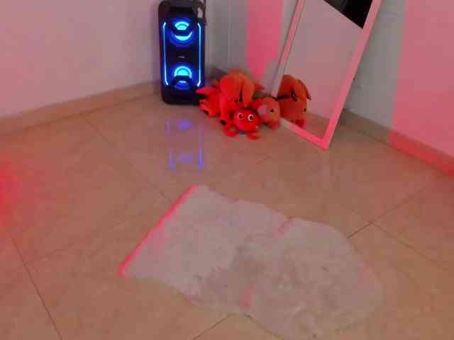 littleDanni webcam