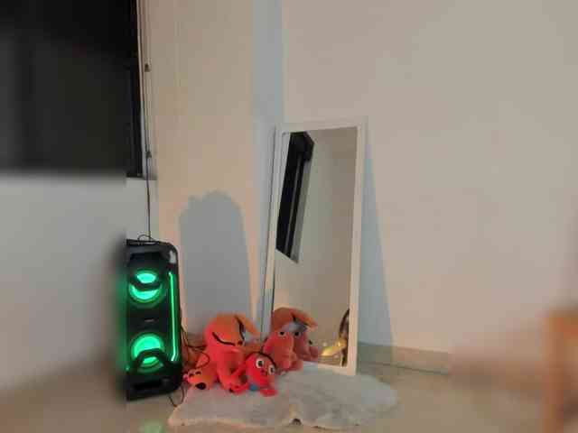 littleDanni webcam