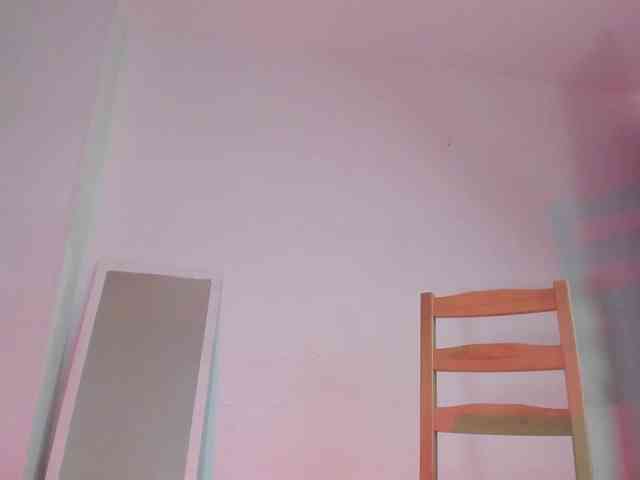 littleDanni webcam