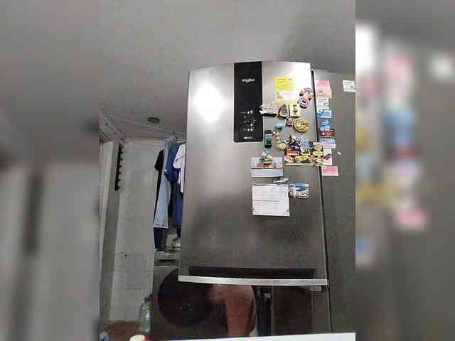 littleDanni webcam