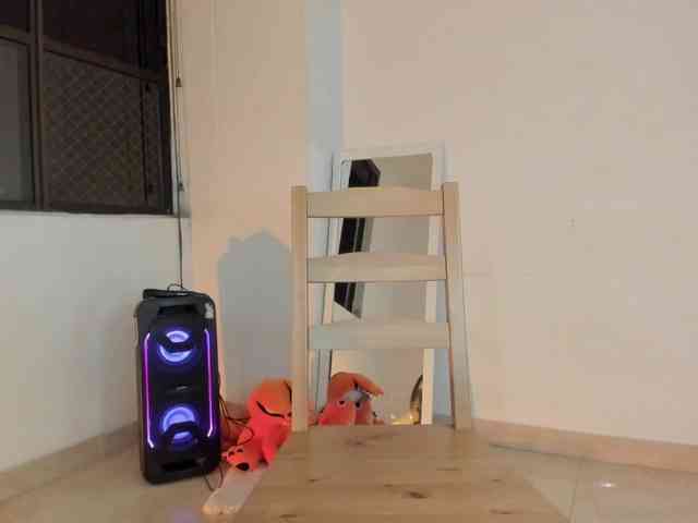 littleDanni webcam