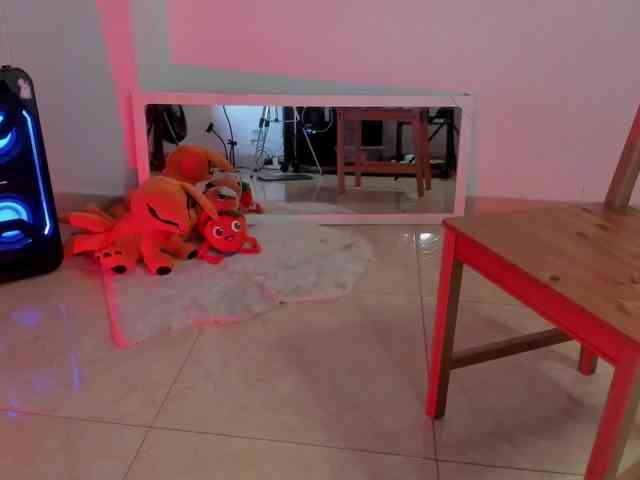 littleDanni webcam