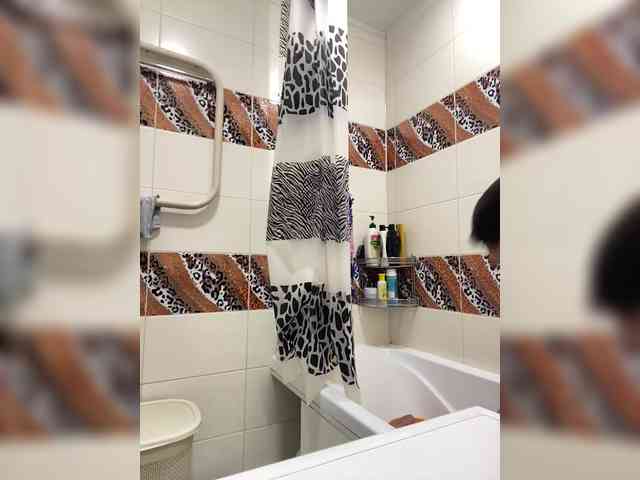 Aps1221anal Aps1221anal