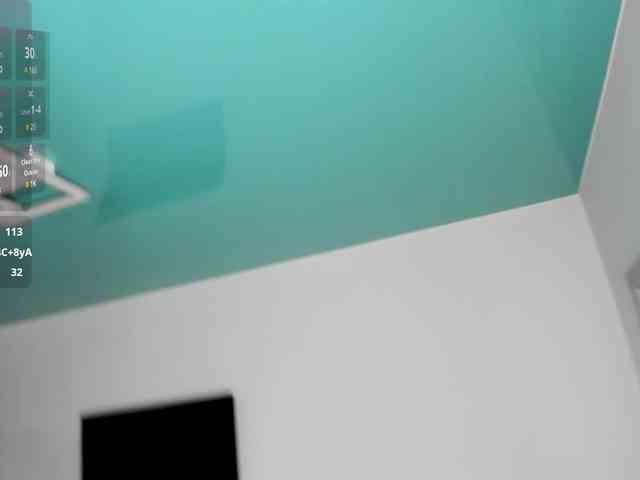 MCfly-1 webcam
