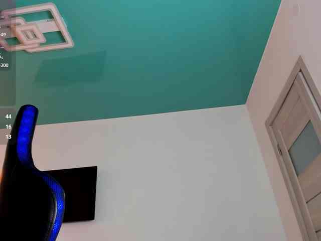 MCfly-1 webcam