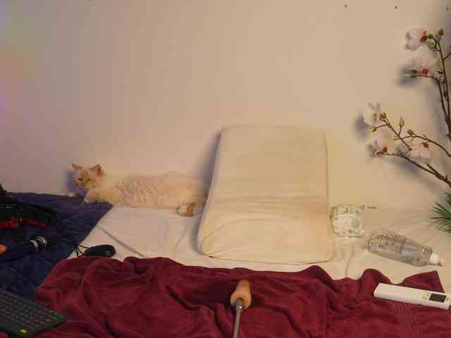 Lacie_Le_Beauty webcam