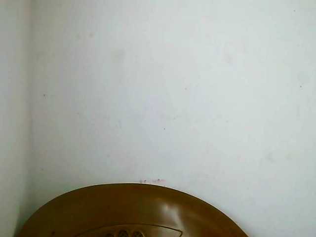 Edwiga's BongaCams show and profile