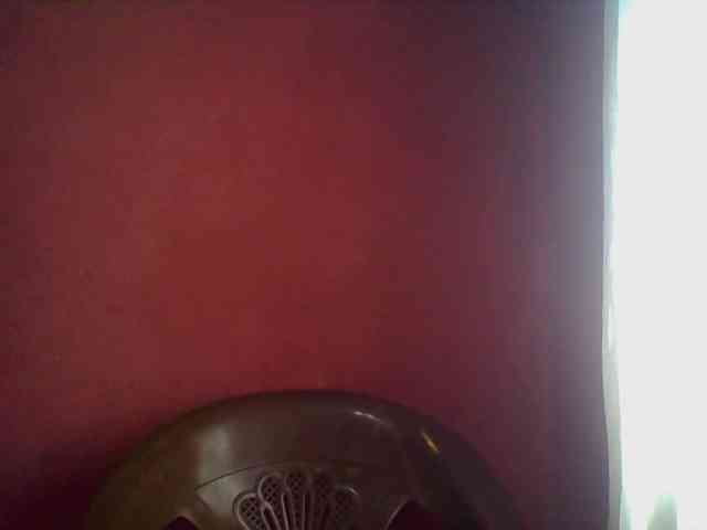 Edwiga webcam
