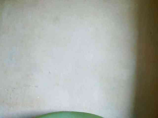 Edwiga webcam