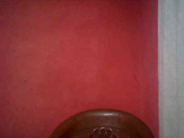 Edwiga webcam