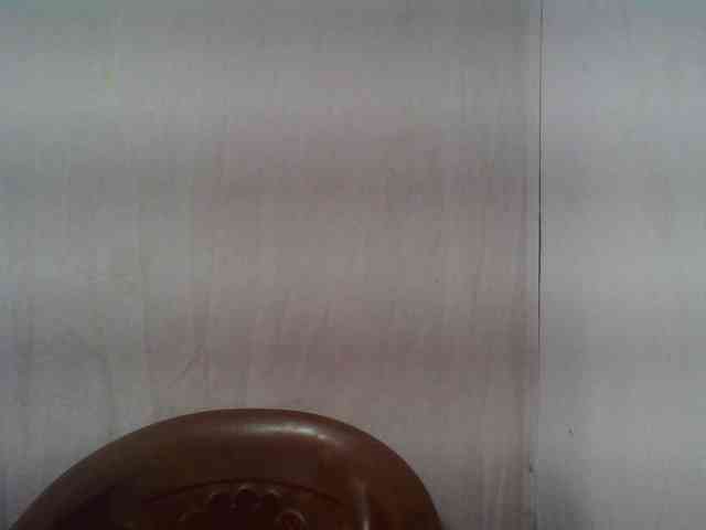 Edwiga webcam