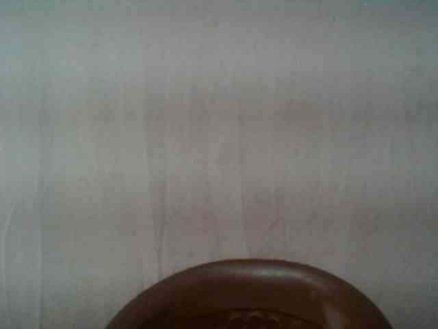 Edwiga webcam