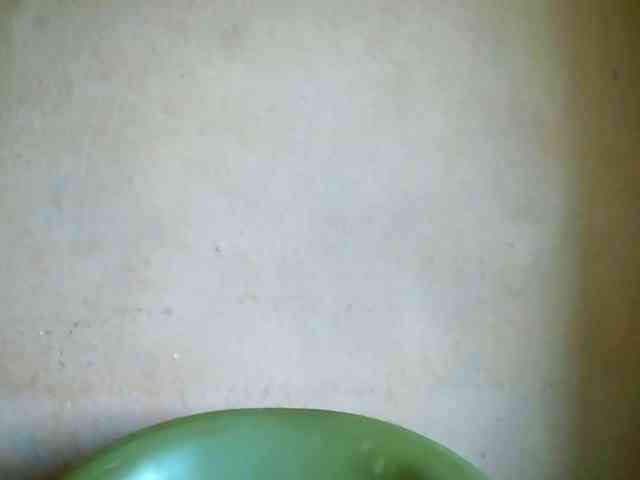Edwiga webcam