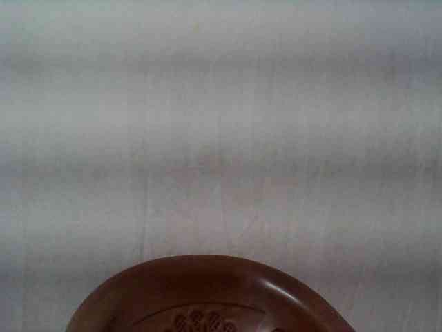 Edwiga webcam