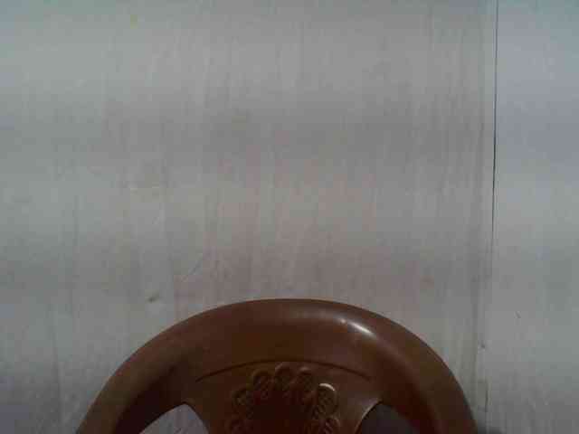 Edwiga webcam