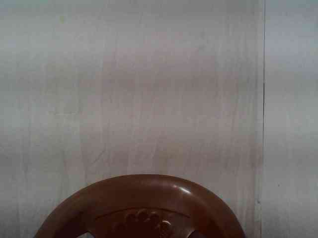 Edwiga webcam