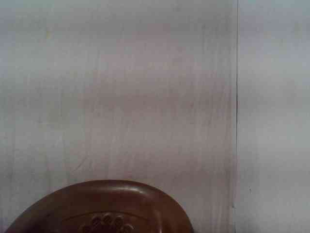 Edwiga webcam