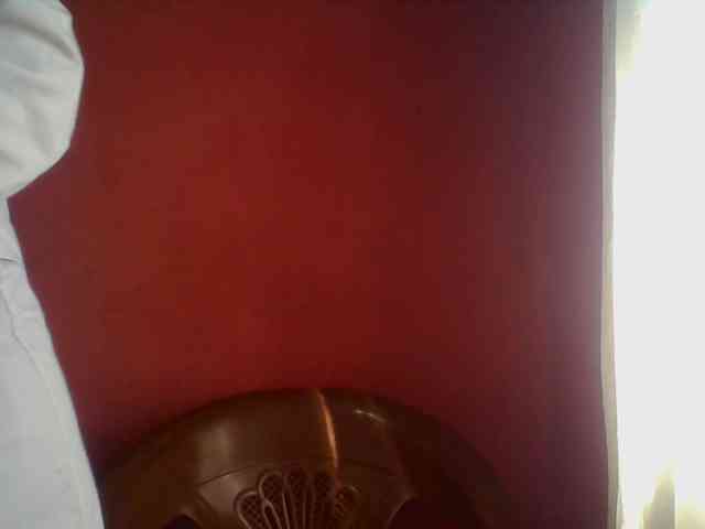Edwiga webcam