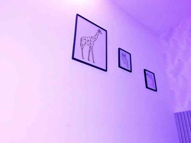 Kimiekaboom webcam