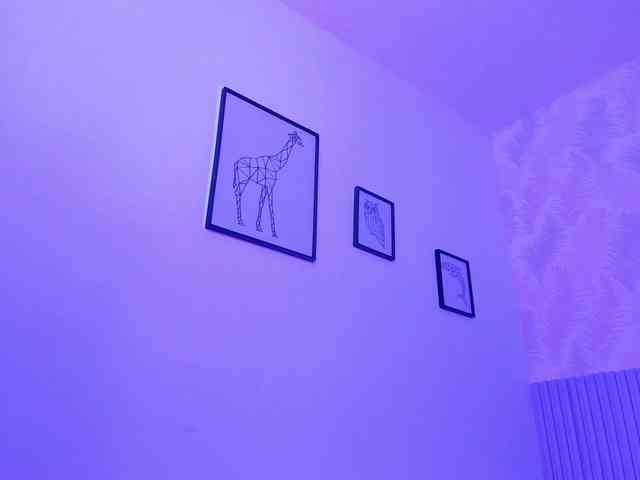 Kimiekaboom webcam