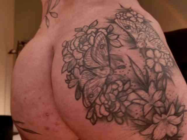 LisaMonroe webcam